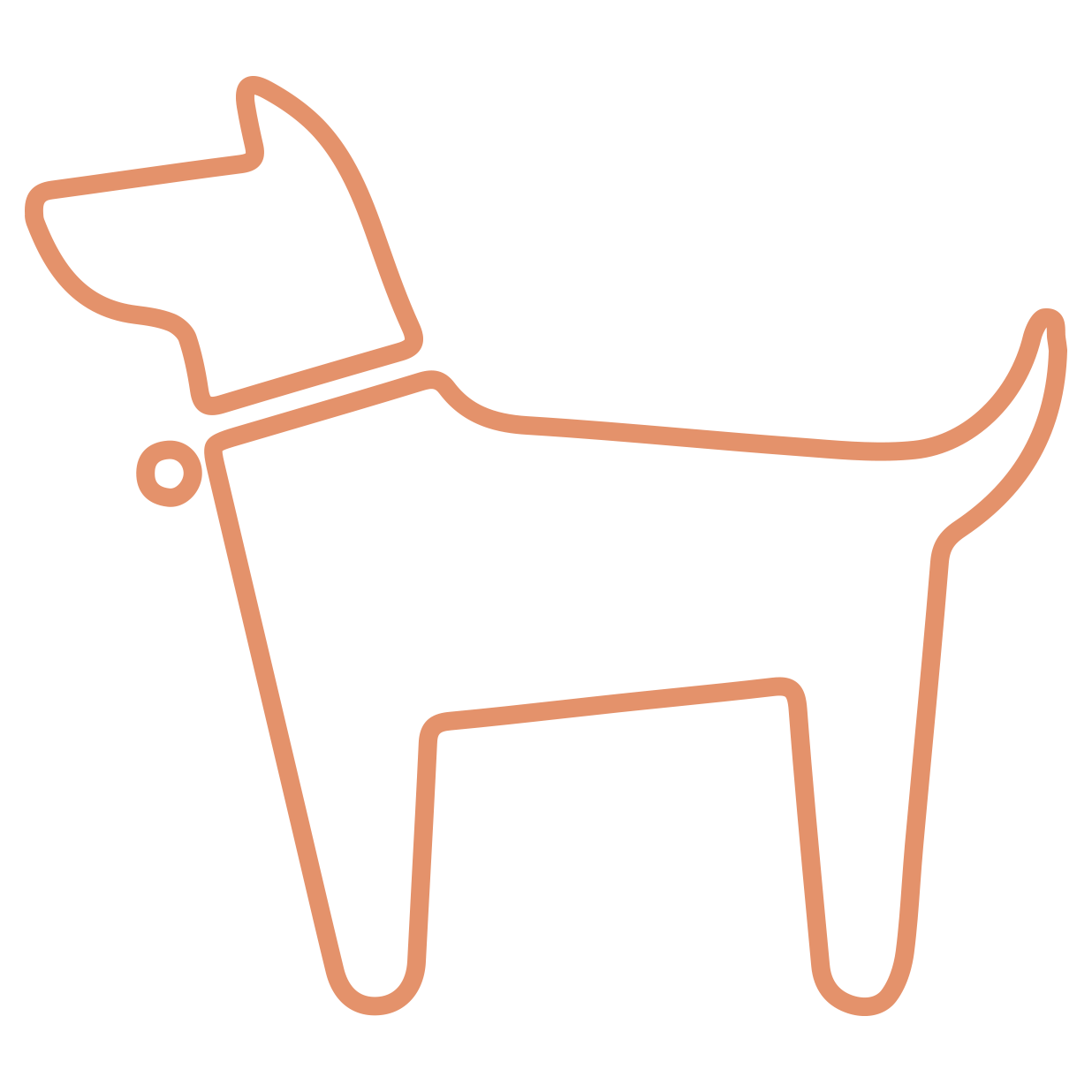 a